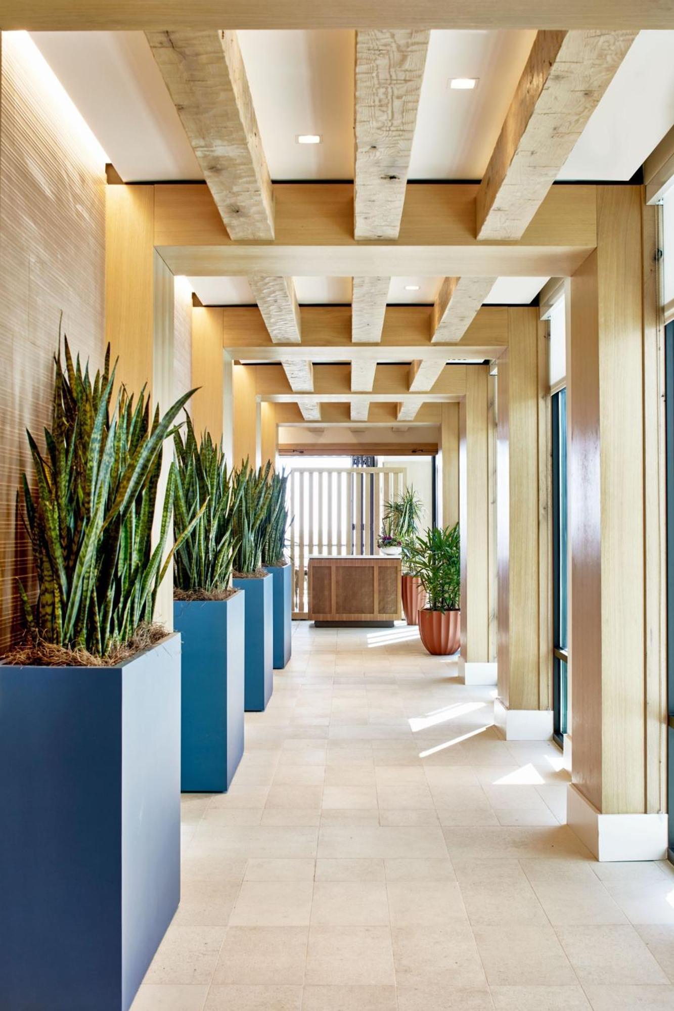 Springhill Suites By Marriott Jacksonville Beach Oceanfront Eksteriør billede